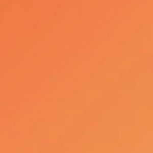 Meet your Posher, Sierra